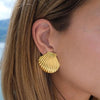 Big Shell Stud Earrings - Nahzshop